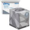 Kleenex® facial tissue kubus 2-laags wit 21x20cm 12x88st - 8834