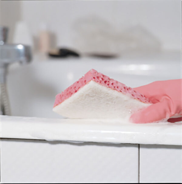 Sponrex 31 wit, roze - VB 119208 - Afbeelding 2