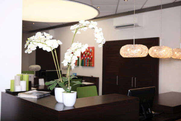Phalaenopsis orchidee 100cm groen, wit - VB 346932 - Afbeelding 3