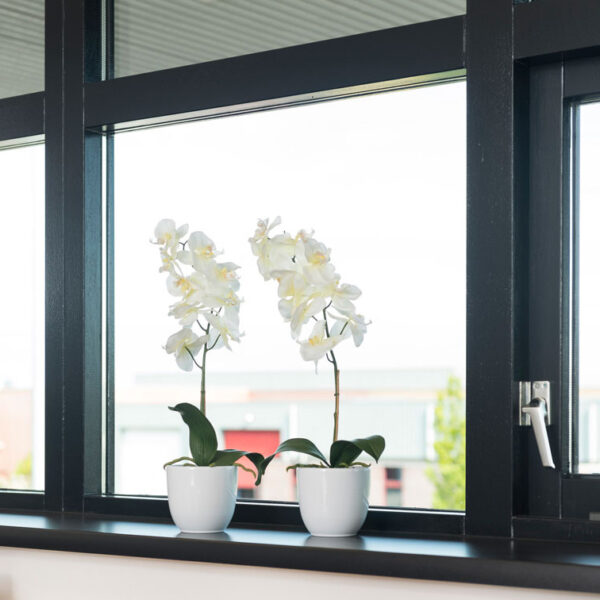 Phalaenopsis orchidee 60cm groen, wit - VB 346963 - Afbeelding 2
