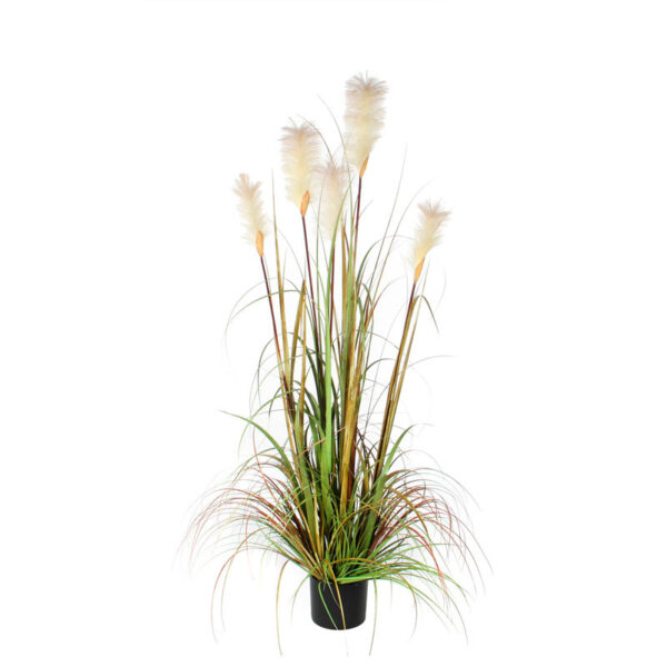 Pluimgras Foxtail 150cm groen - VB 651307